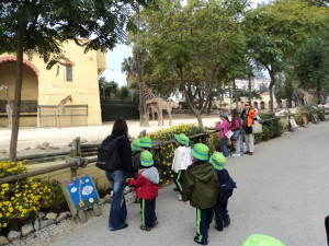 DSC00281