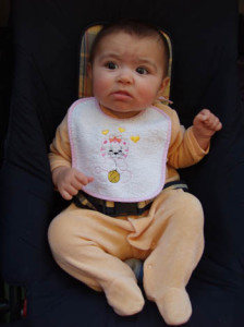 PB200870528f45f6265c5.jpg