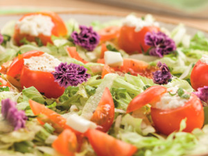 receita tomatinhos com queijo fresco